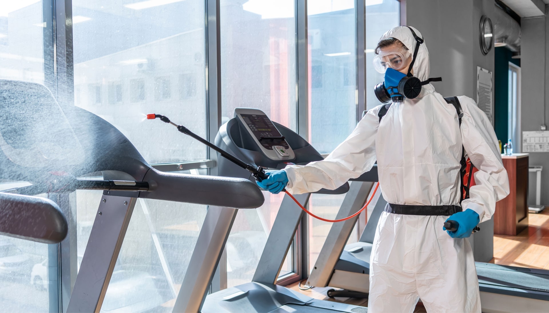 Commercial-Mold-Removal in Mesa