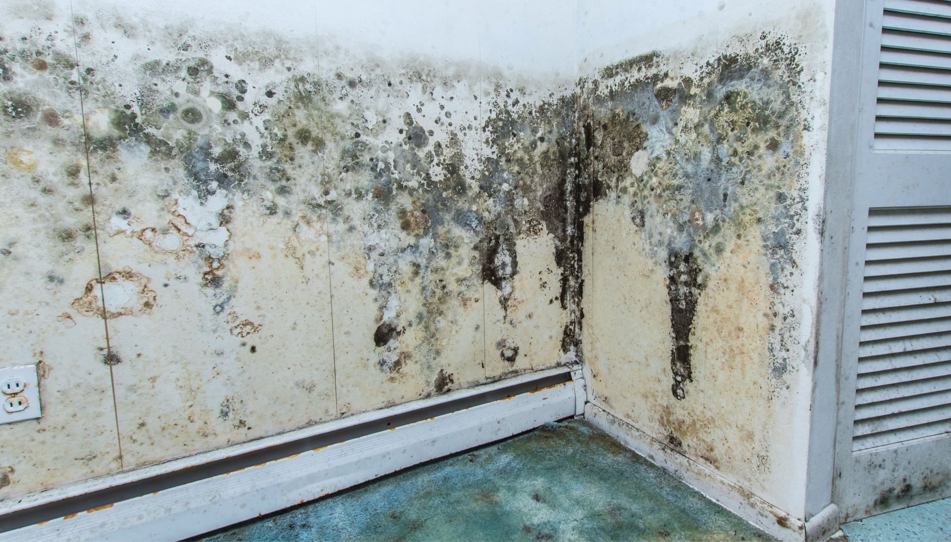 Mold-Damager-Odor-Control in Mesa